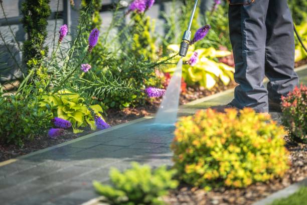 Best Pool Deck Cleaning  in Kings Point, NY